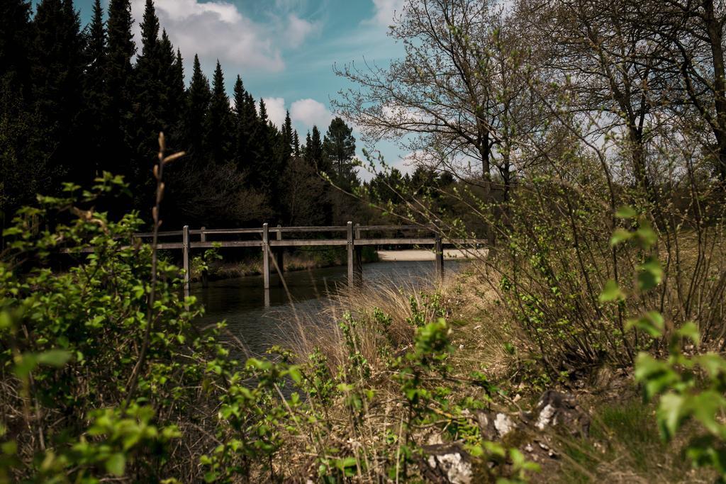 Rheezerstee Bed & Breakfast Bagian luar foto