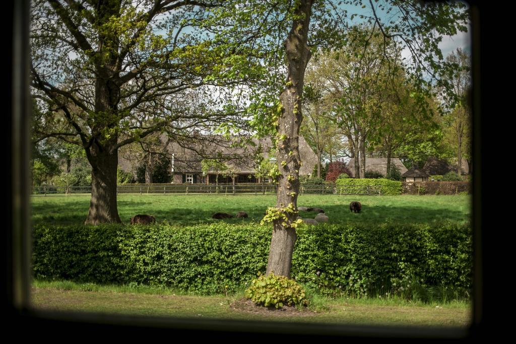 Rheezerstee Bed & Breakfast Bagian luar foto