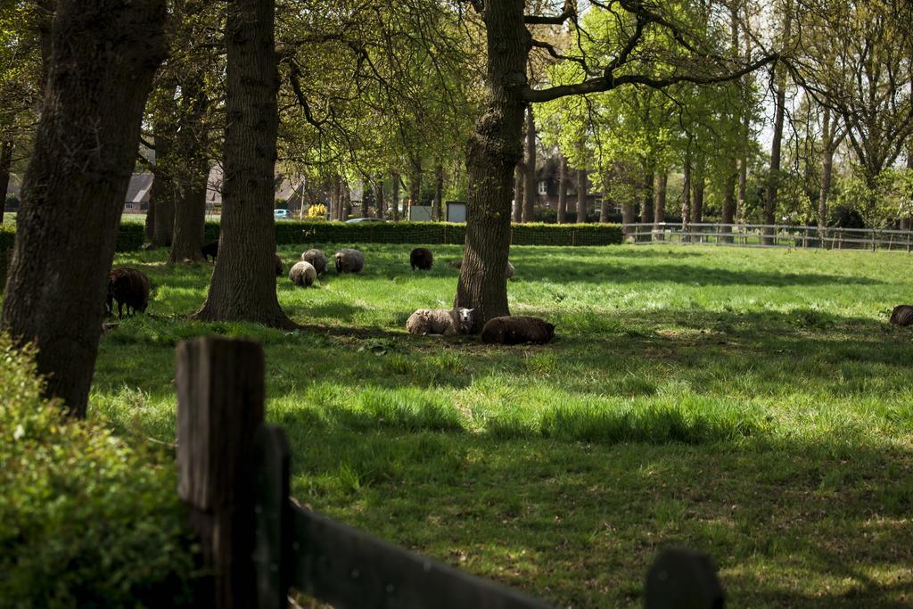 Rheezerstee Bed & Breakfast Bagian luar foto